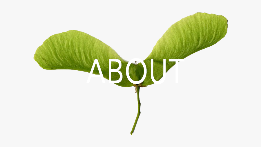 About Green Propeller, Transparent Clipart