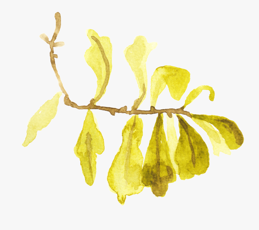 Dry Yellow Leaf Transparent Decorative - Illustration, Transparent Clipart