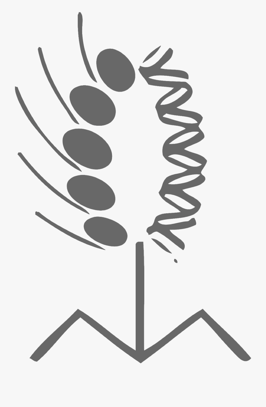 Illustration, Transparent Clipart