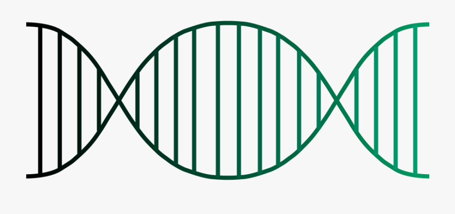 San Francisco Icon Jpg, Transparent Clipart