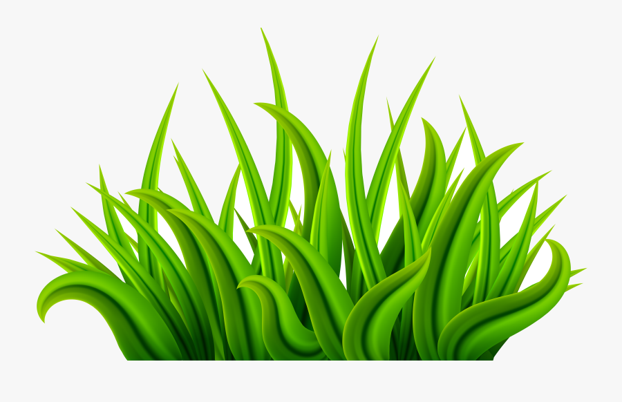 Grass Green Clip Art Image Gallery High Transparent - Transparent Background Grass Clipart, Transparent Clipart