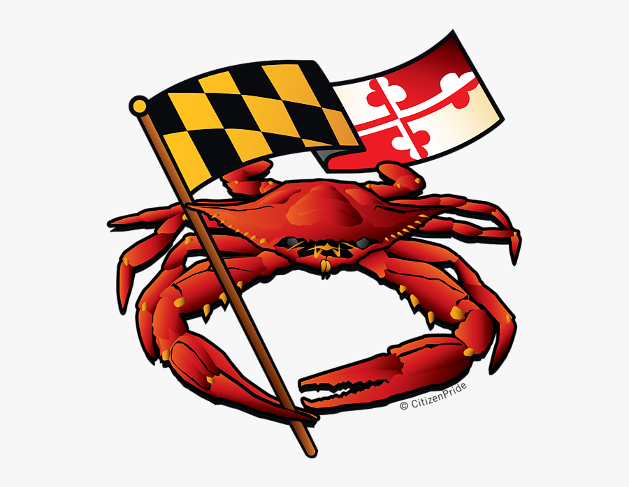 Download Maryland Flag Crab , Free Transparent Clipart - ClipartKey