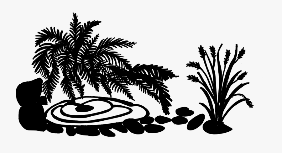 Palm Tree,tree,arecales,black And White,leaf,attalea - Illustration, Transparent Clipart