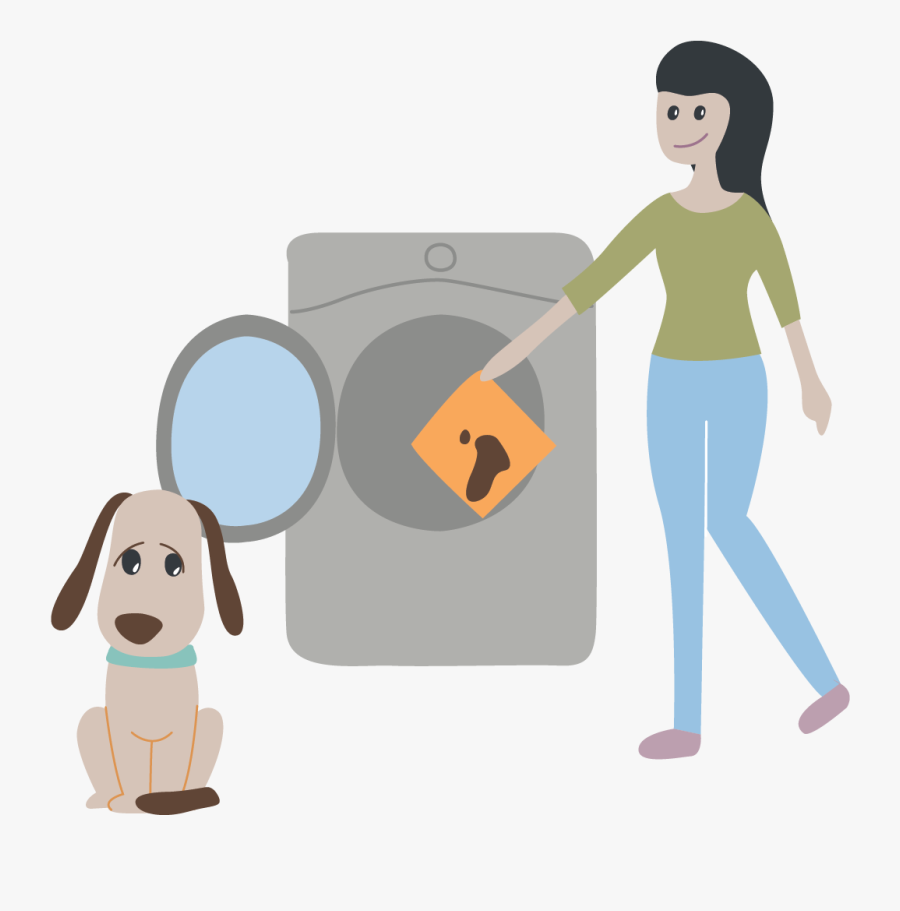 Picture, Transparent Clipart