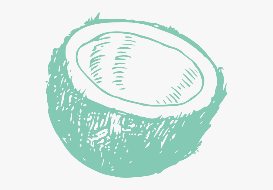 Coconut Black And White, Transparent Clipart