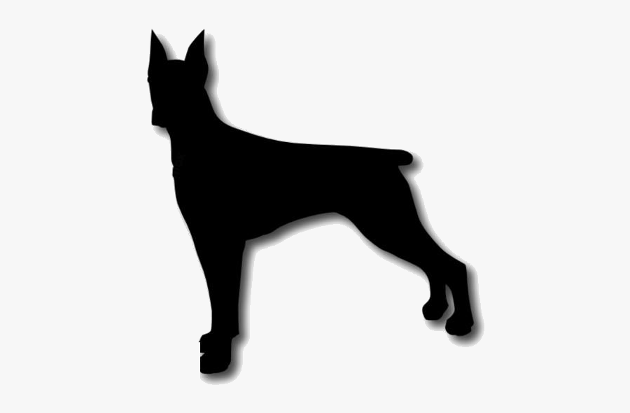 Transparent Doberman Png Clipart Free Download - Dobermann, Transparent Clipart