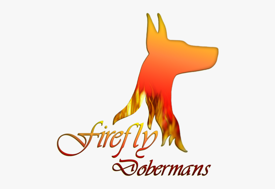 Picture, Transparent Clipart