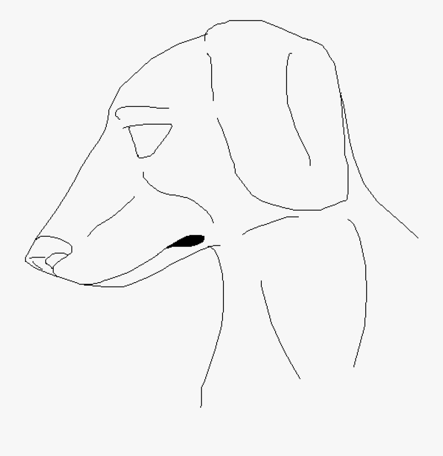 Line Art, Transparent Clipart