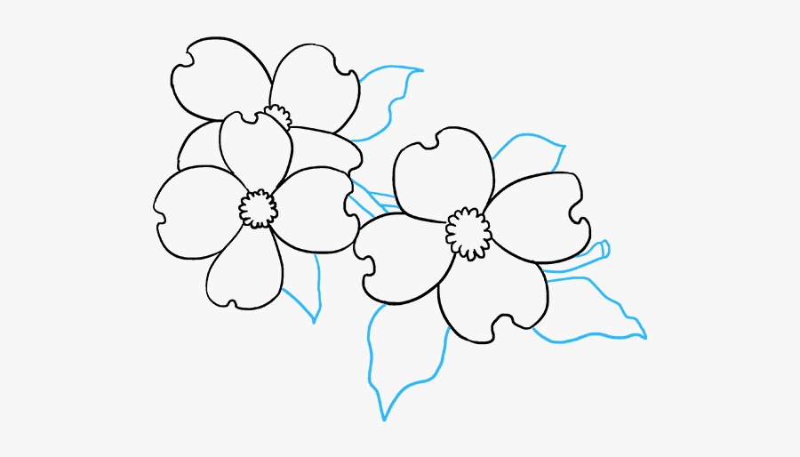 How To Draw Dogwood Flowers - Dogwood Flower Drawing Easy, Transparent Clipart
