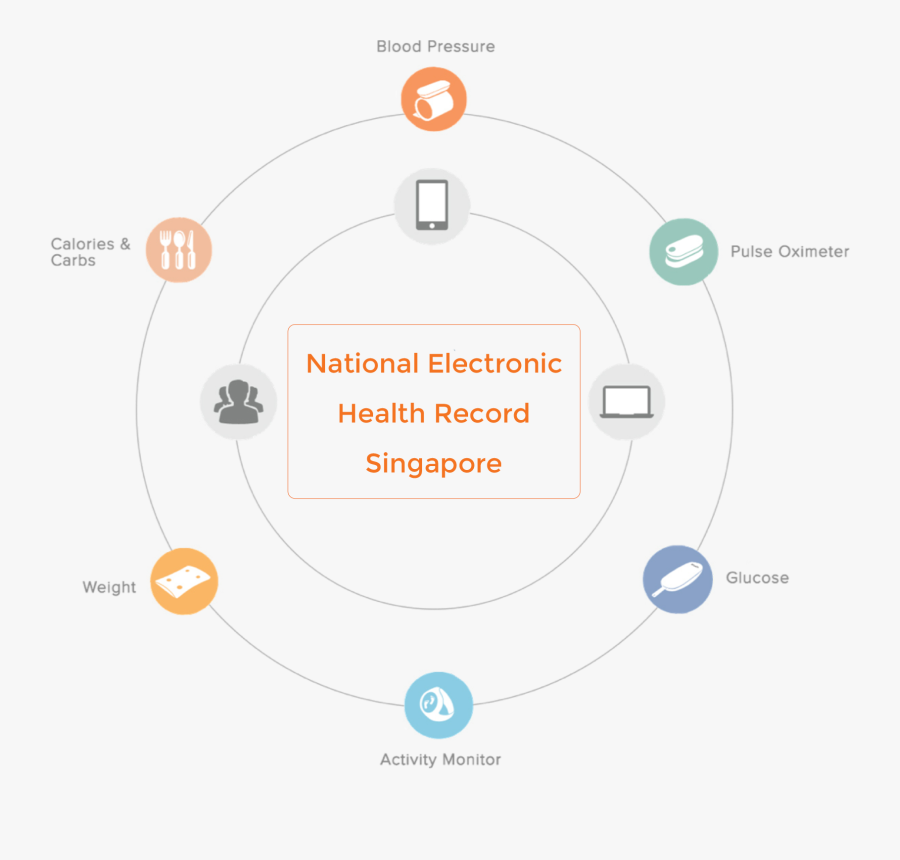 Circle, Transparent Clipart