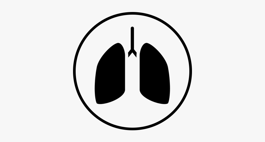 Mobirise, Transparent Clipart