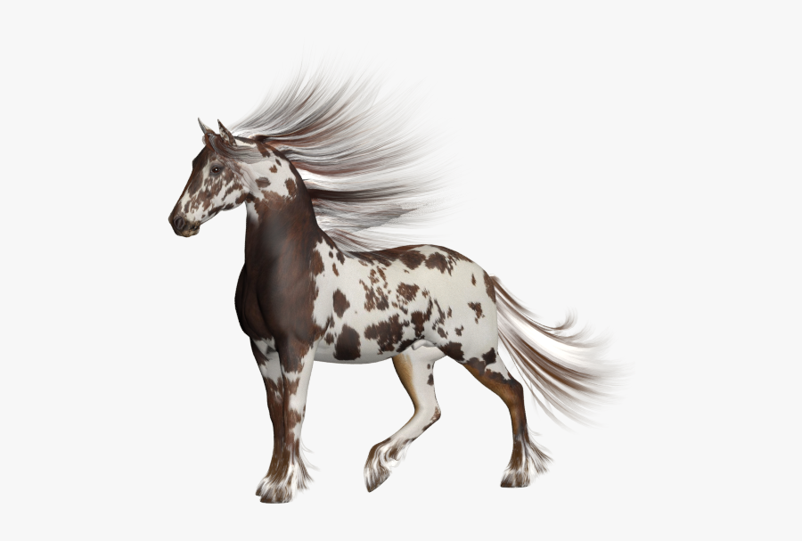 Clip Art Horse Texture - Mustang Horse, Transparent Clipart