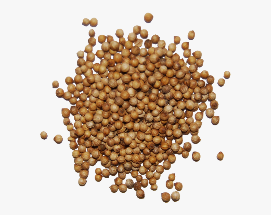 Seed Png - Herb Seeds Png, Transparent Clipart