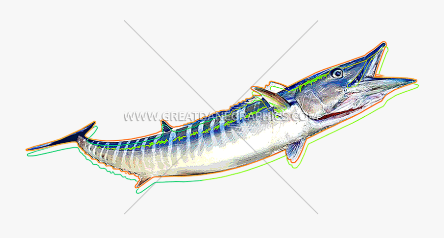 Funky Production Ready Artwork - Ray-finned Fish, Transparent Clipart