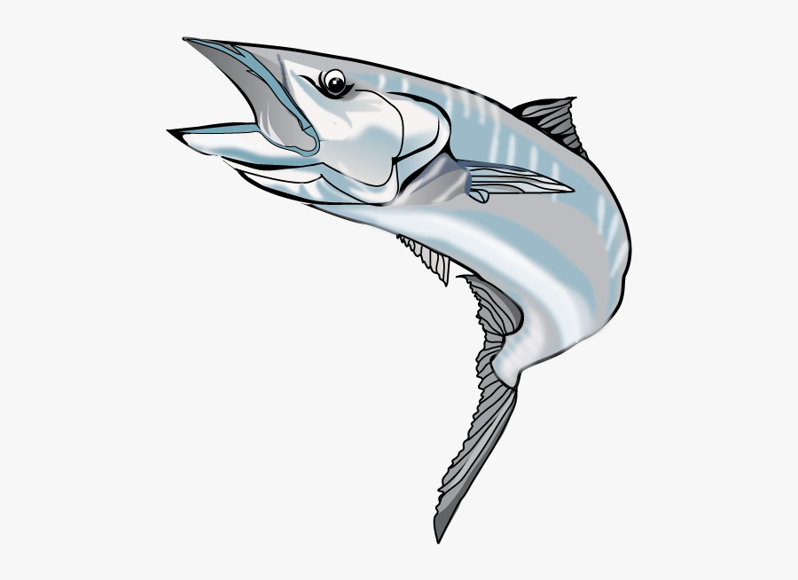Marlin Clipart Wahoo - Atlantic Blue Marlin, Transparent Clipart