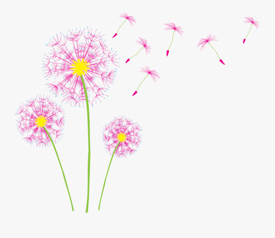 #edits #flowers #art #dandelions #stickers - Pink Dandelion Clipart Png, Transparent Clipart