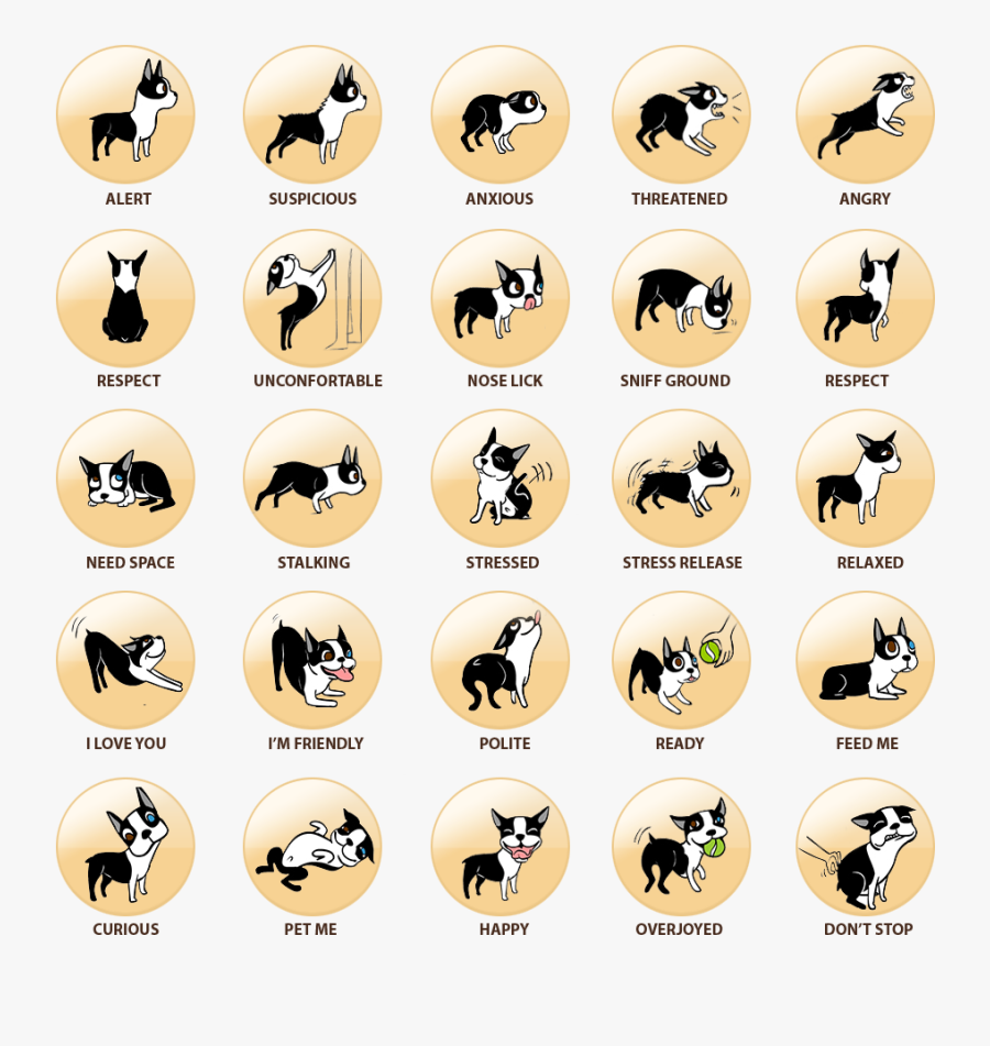 Dog Action And Meaning, Transparent Clipart