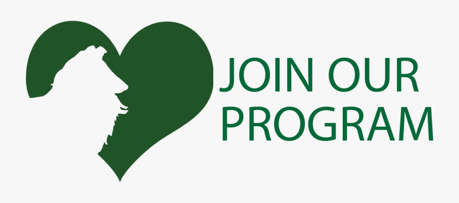 Graphic Design, Transparent Clipart