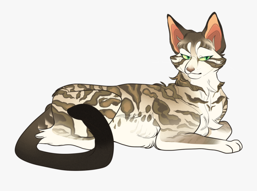 Warrior Cats, Big Cats, Cat Art, Chibi, Sketchbooks, - Warrior Cat Oc Coloring Base, Transparent Clipart