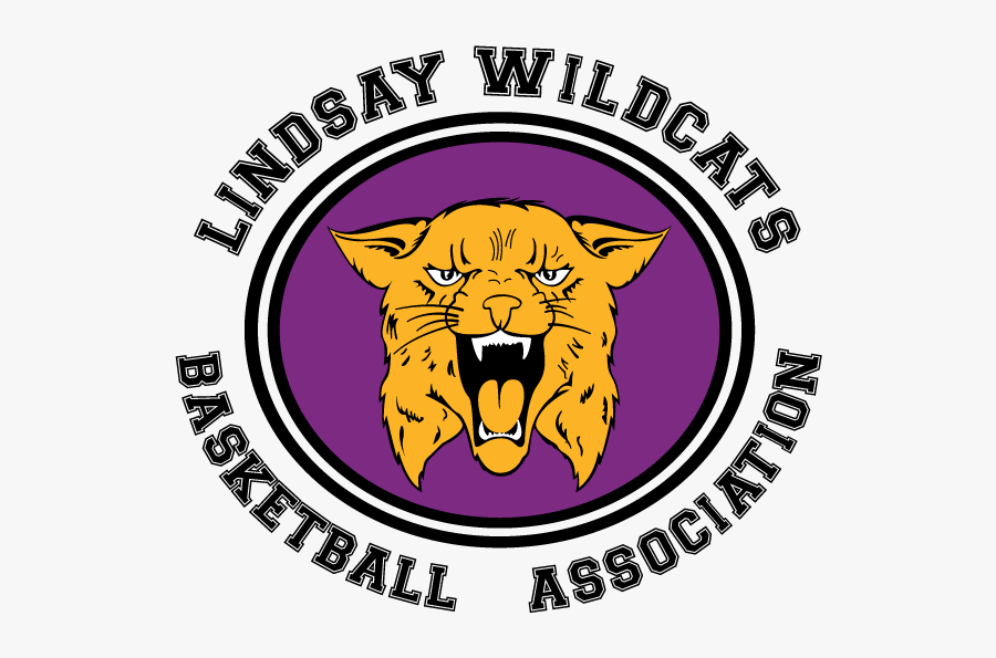 Lindsay Wildcats - Oregon Ducks Men's Basketball, Transparent Clipart