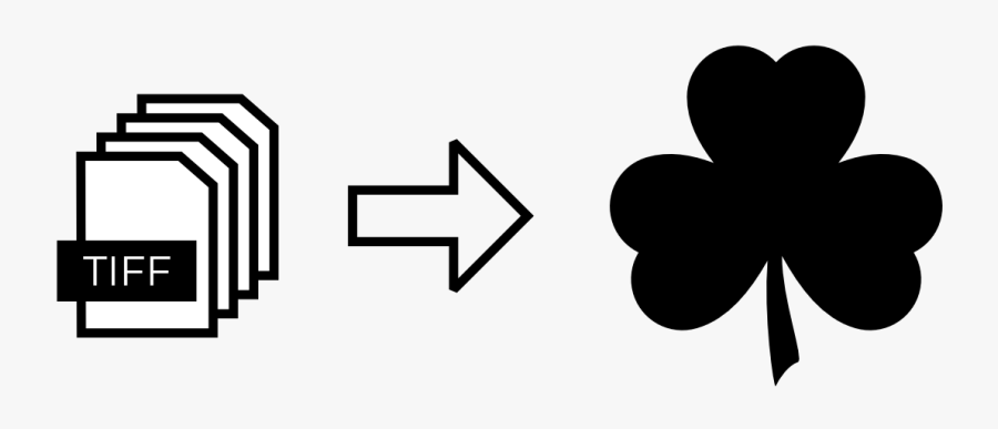 Shamrock, Transparent Clipart