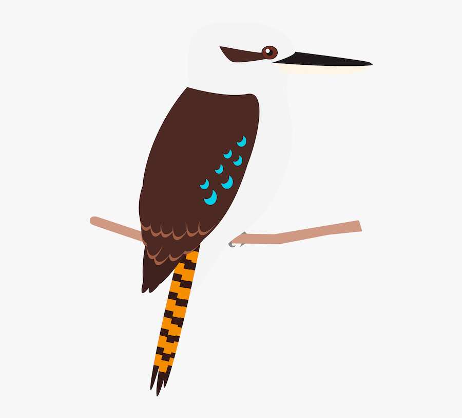 Australian Bird Images Cartoon, Transparent Clipart