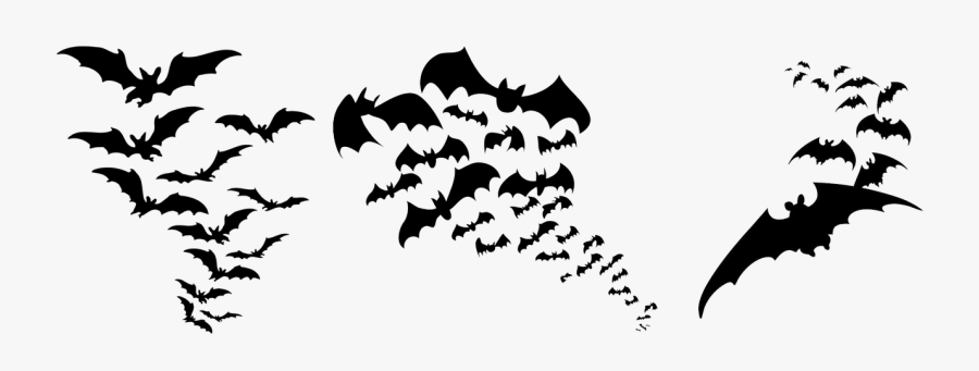 Transparent Bat Silhouette Clipart - Halloween Transparent, Transparent Clipart