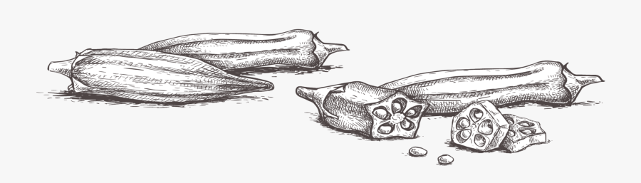 Irmo Okra Strut Festival - Hand Drawn Okra, Transparent Clipart