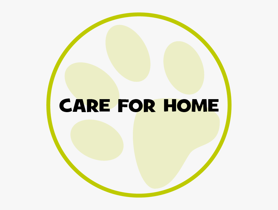 Circle, Transparent Clipart