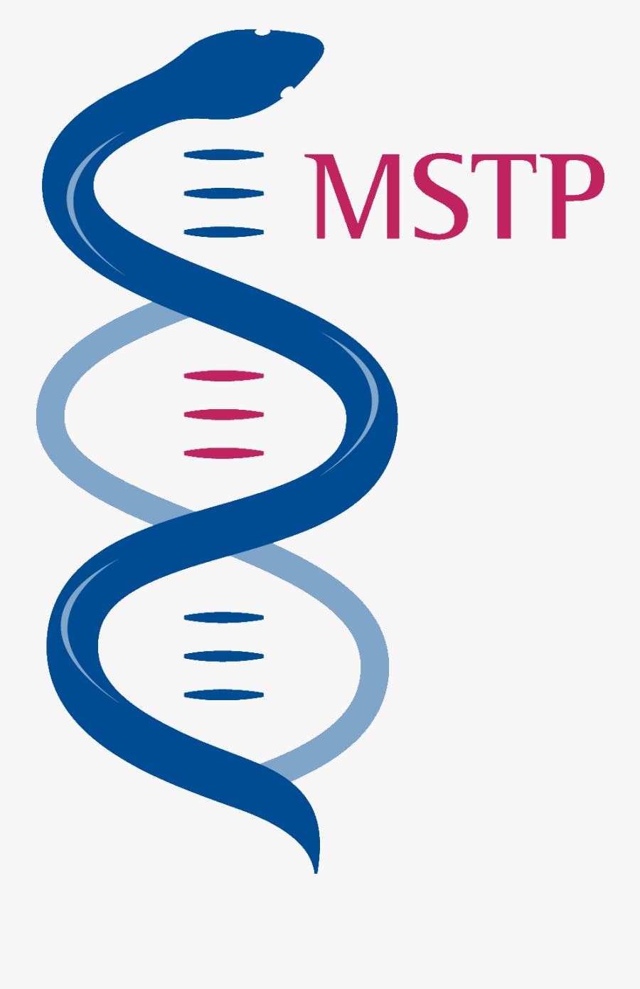 Medicine Logo Pictures To Pin On Pinterest Thepinsta - Mstp Program, Transparent Clipart
