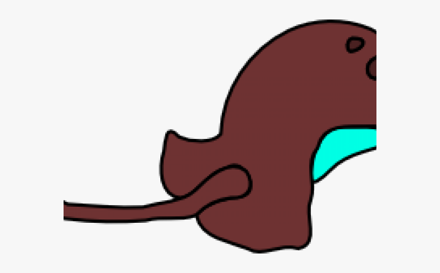 Stingray Clipart Transparent, Transparent Clipart