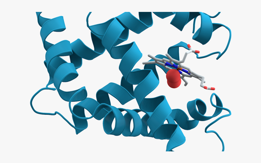 Slac"s X-ray Laser Enables Direct Images Of Ultrafast - Protein Image Biology Png, Transparent Clipart