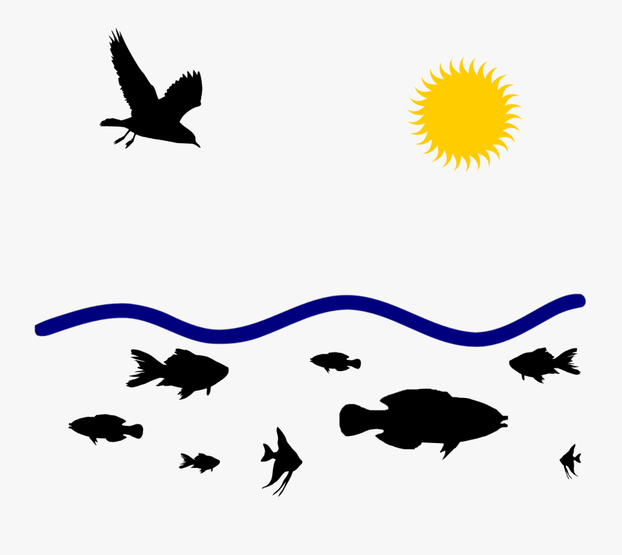 Clip Art, Transparent Clipart