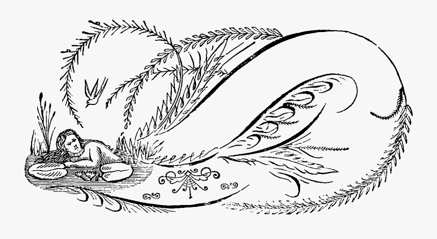 Line Art, Transparent Clipart