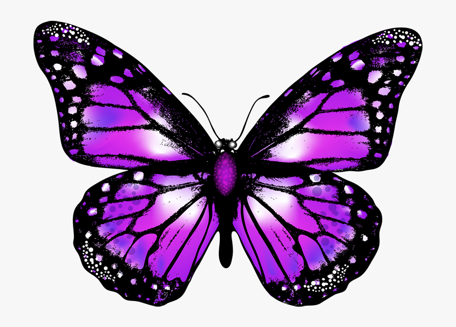 Butterfly Png Vector Image Transparent Background Purple ...