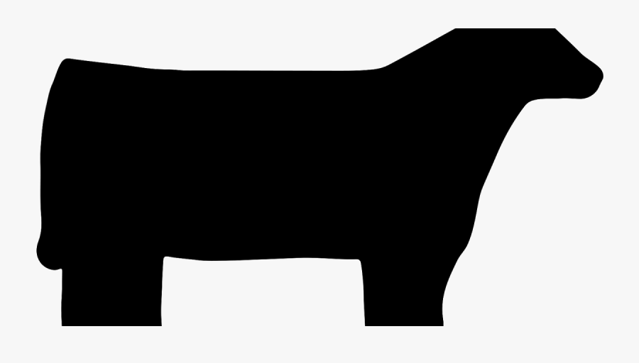 Lamb Clipart Club Lamb - 4 H Steer Silhouette, Transparent Clipart