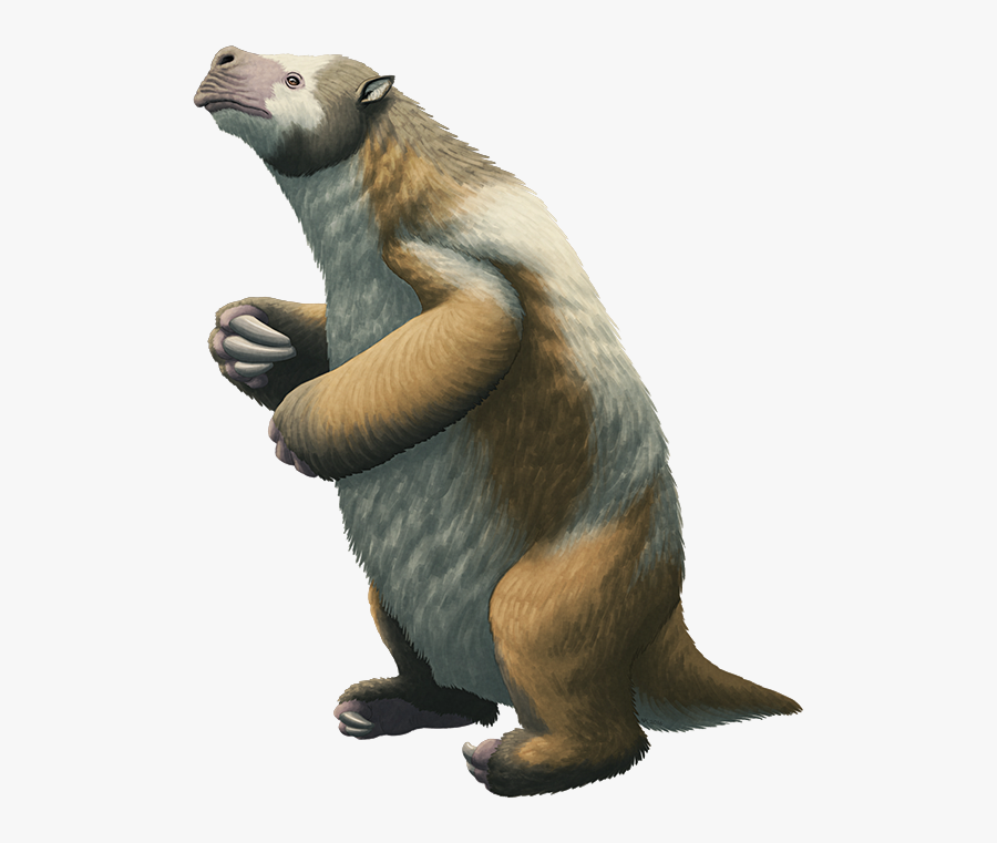 Giant Ground Sloth Megatherium Americanum Animal - Ground Sloth Ice Age, Transparent Clipart