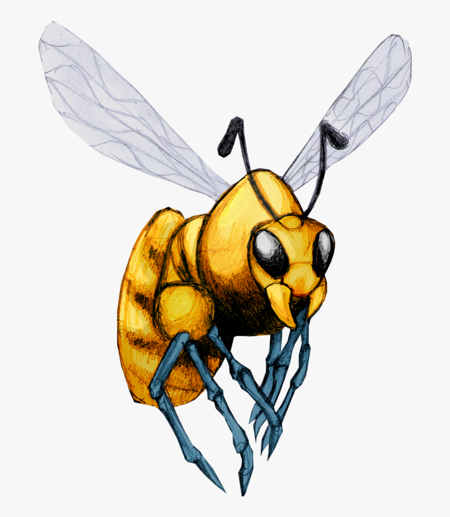 Drawn Bumblebee Killer Bee - Honeybee, Transparent Clipart