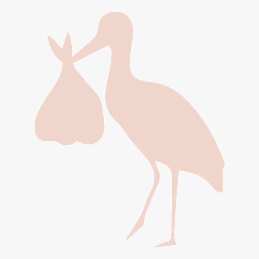 Duck, Transparent Clipart