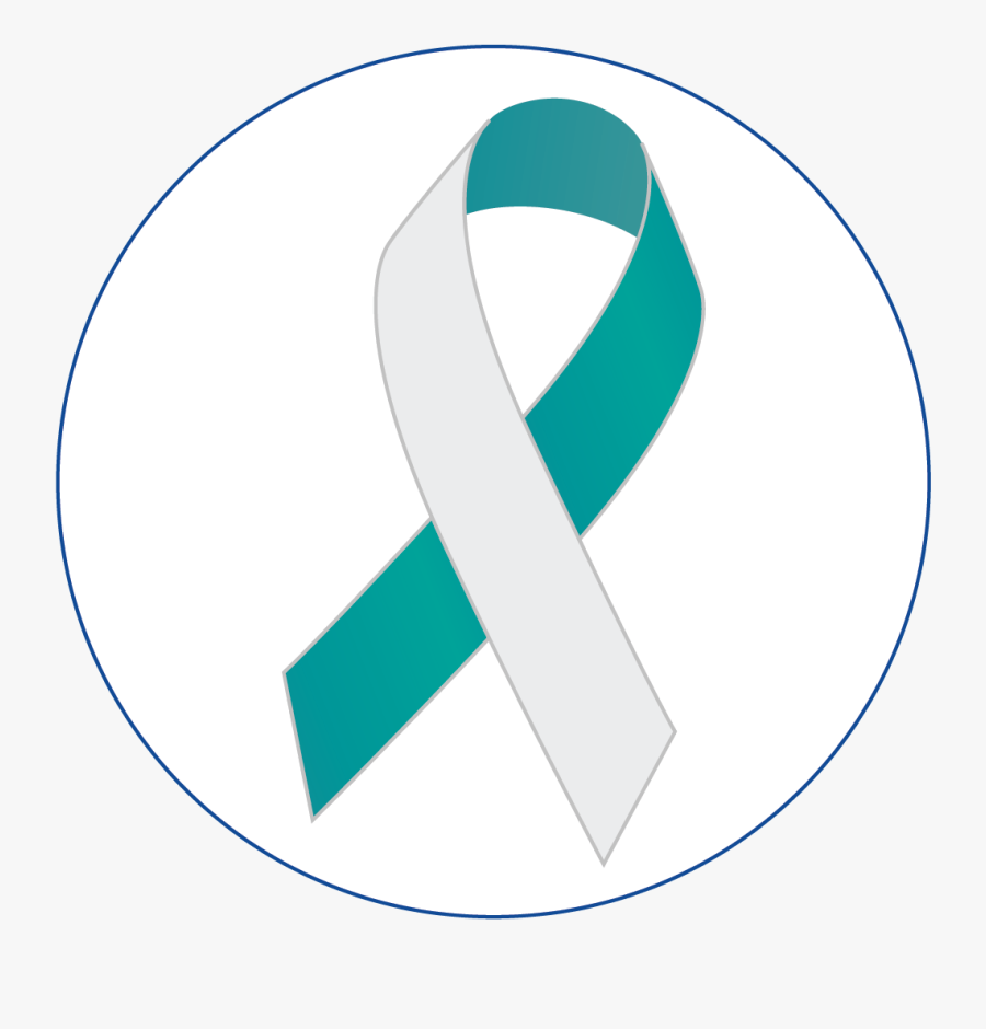 Circle, Transparent Clipart