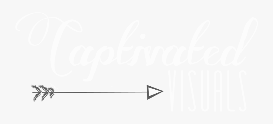Captivated Visuals Cupid Arrow Png - Calligraphy, Transparent Clipart