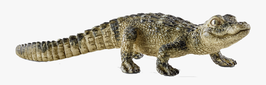 Rotate Resize Tool Drawing - Schleich Baby Crocodile, Transparent Clipart