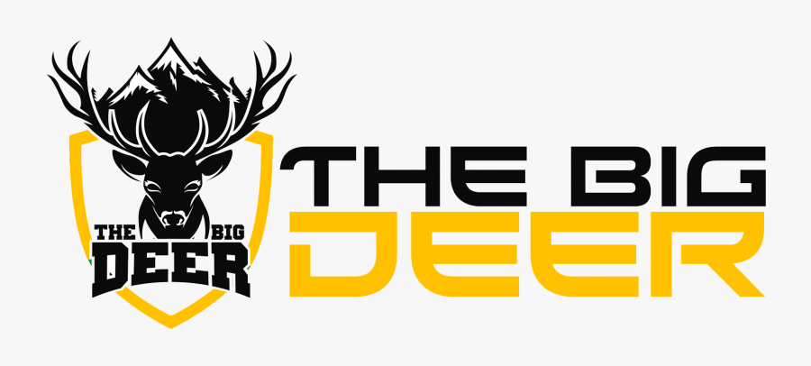 Graphic Design, Transparent Clipart