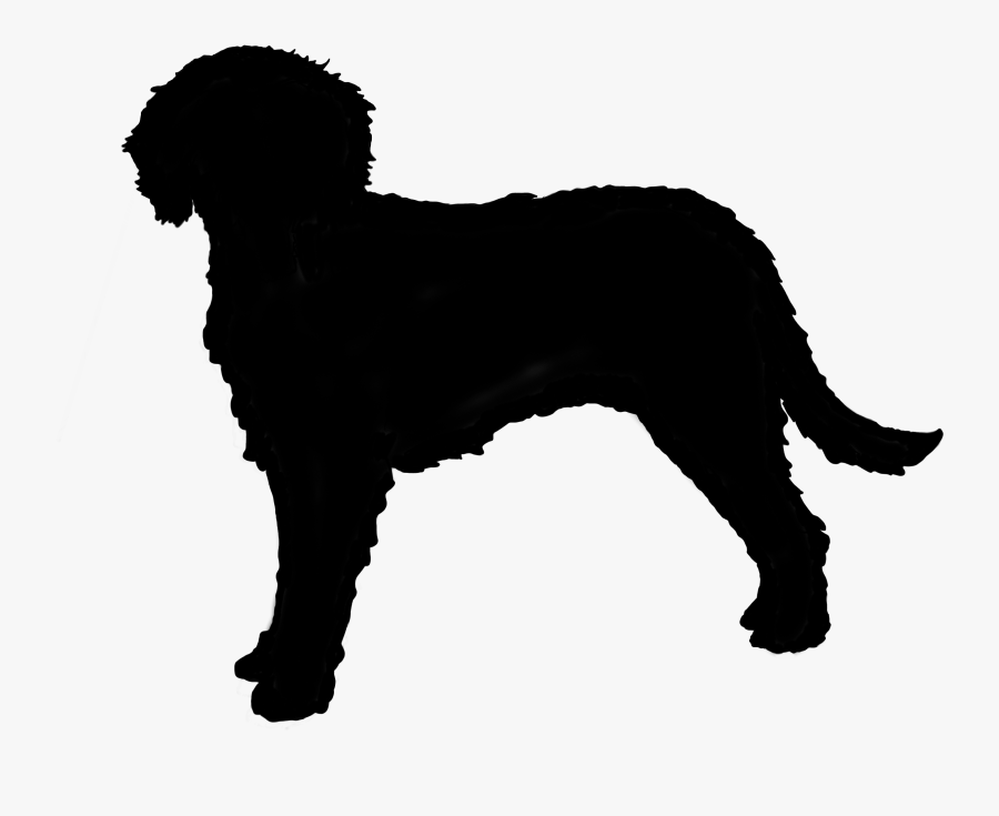 Australian Cobberdog Silhouette - Silhouette Of A Labradoodle, Transparent Clipart