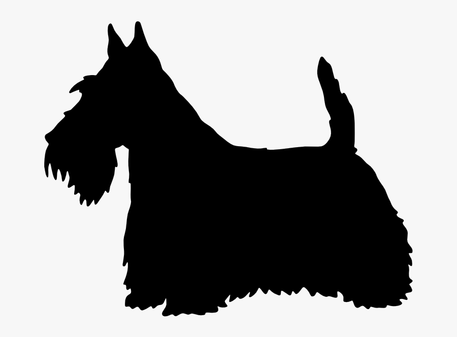Scottish Terrier West Highland White Terrier Border, Transparent Clipart