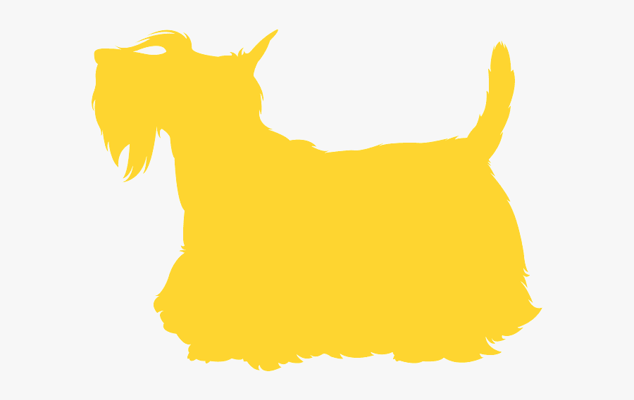 Cat, Transparent Clipart