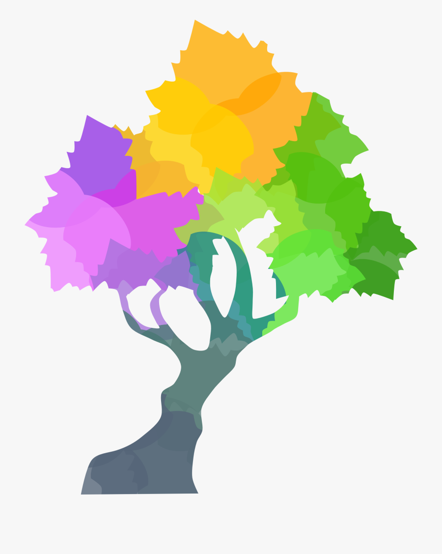 Canopy Center, Transparent Clipart