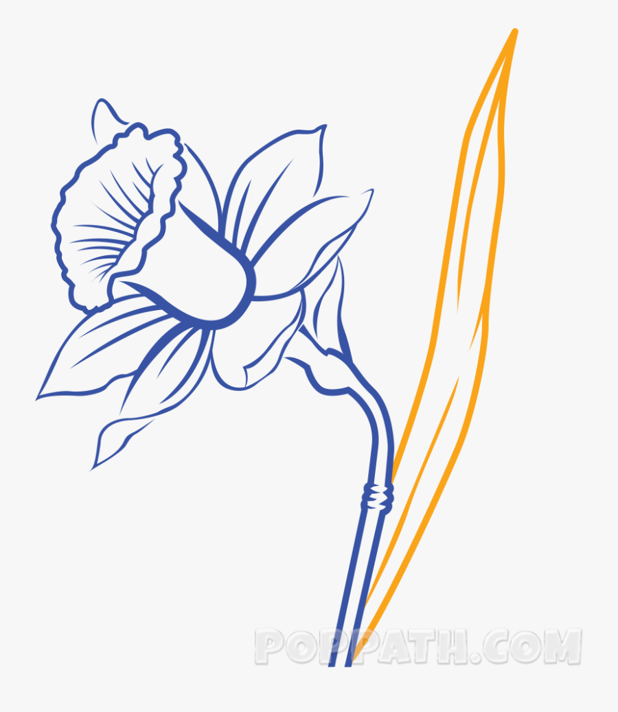 Daffodils Flower Drawing Black And White Simple, Transparent Clipart