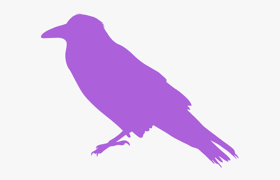 Silhueta De Corvo, Transparent Clipart