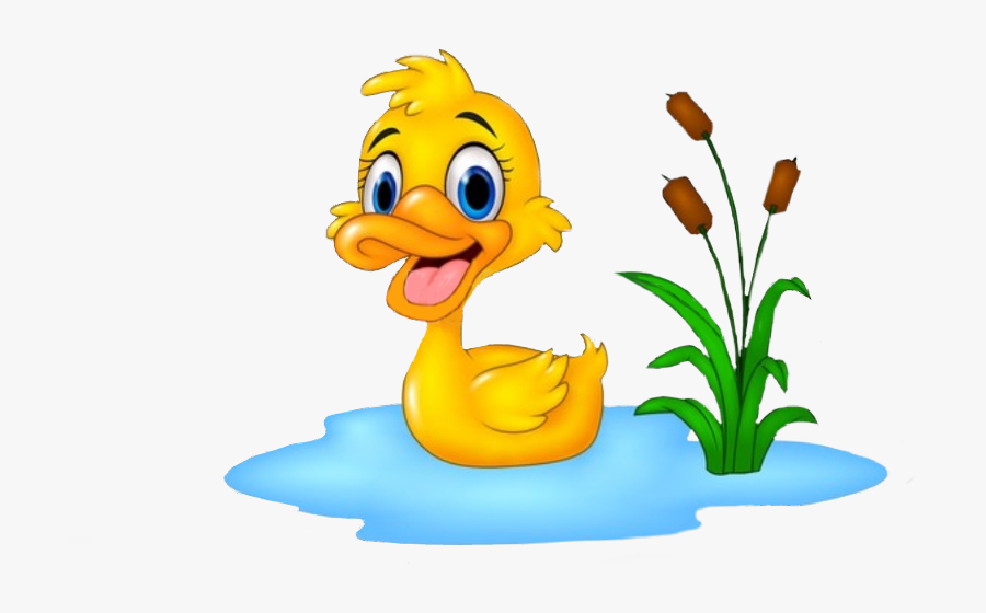 Duck Swiming Freetoedit Scducks Ducks - Duck Cartoon, Transparent Clipart